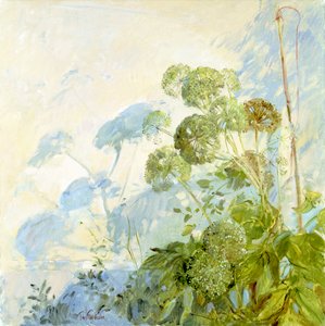Angelica Schaduwen door Timothy Easton